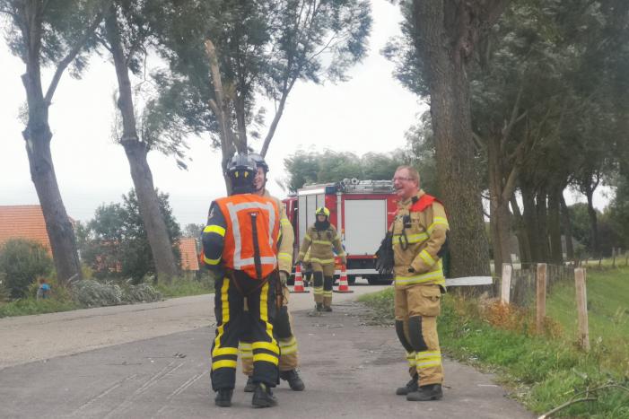 Brandweer verwijderd loshangende takken