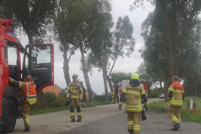 Brandweer verwijderd loshangende takken