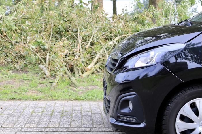 Kop-staartbotsing voor stoplicht