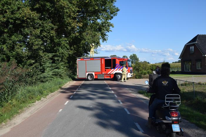 Gevaarlijk hangende tak uit boom verwijderd
