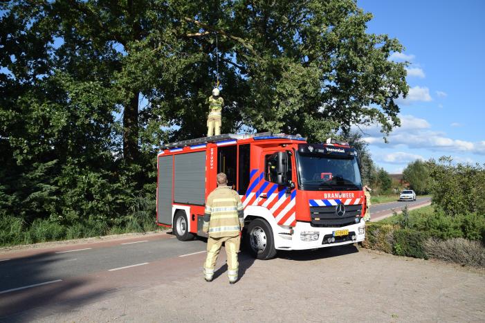 Gevaarlijk hangende tak uit boom verwijderd