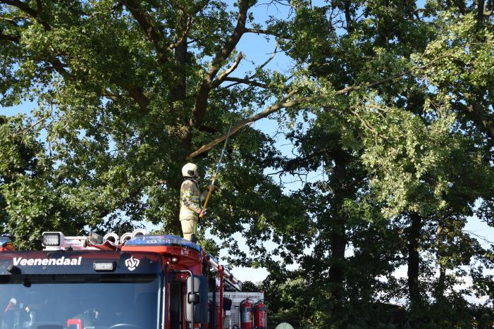 Gevaarlijk hangende tak uit boom verwijderd