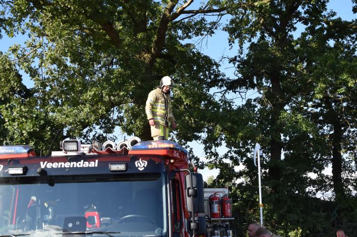 Gevaarlijk hangende tak uit boom verwijderd