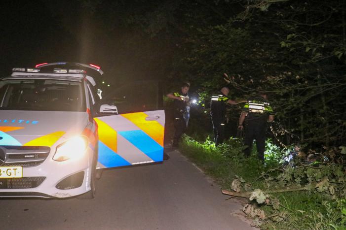 Auto crasht in weiland, bestuurder gevlucht