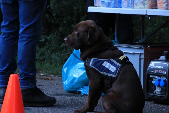Vermiste 54-jarige man aangetroffen dankzij Burgernetdeelnemer