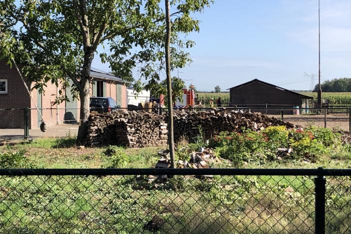 Veulen belandt in put van veeschuur