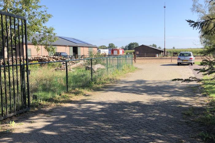 Veulen belandt in put van veeschuur