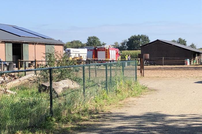 Veulen belandt in put van veeschuur