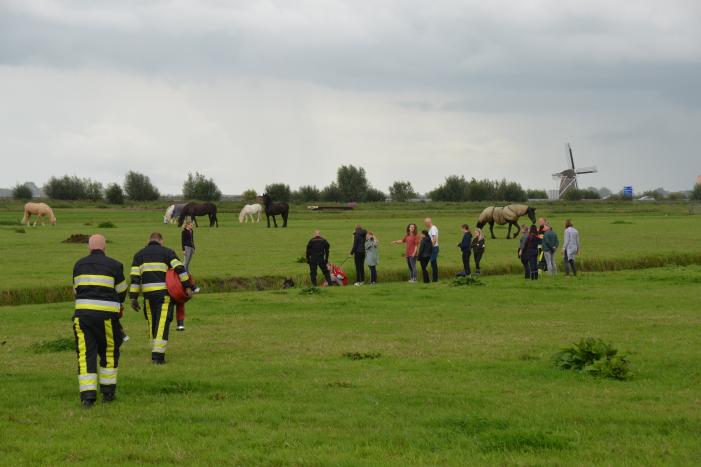 Paard vast in sloot, brandweer bevrijdt het dier