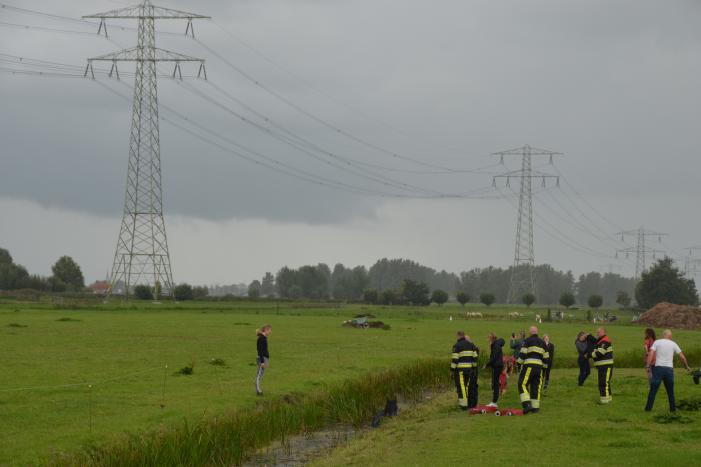 Paard vast in sloot, brandweer bevrijdt het dier