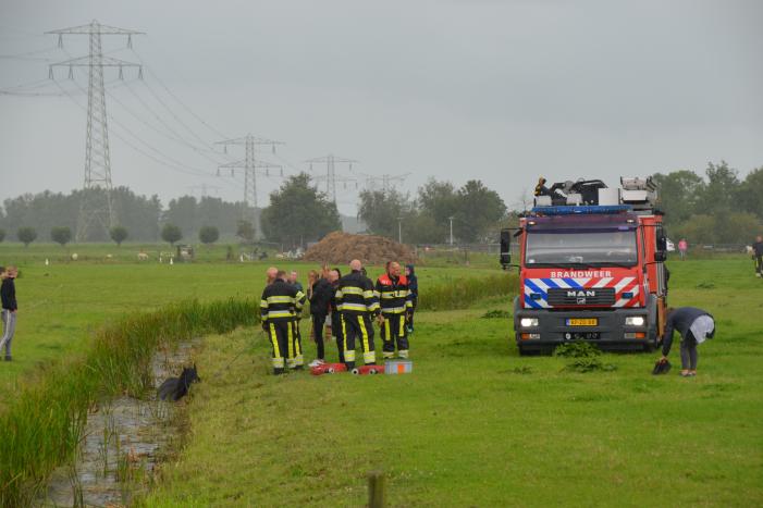 Paard vast in sloot, brandweer bevrijdt het dier
