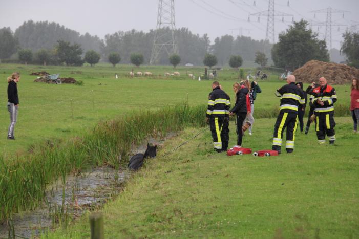 Paard vast in sloot, brandweer bevrijdt het dier