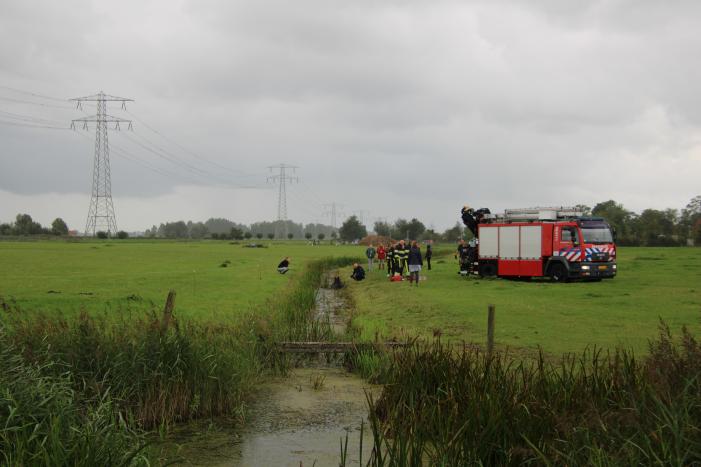 Paard vast in sloot, brandweer bevrijdt het dier