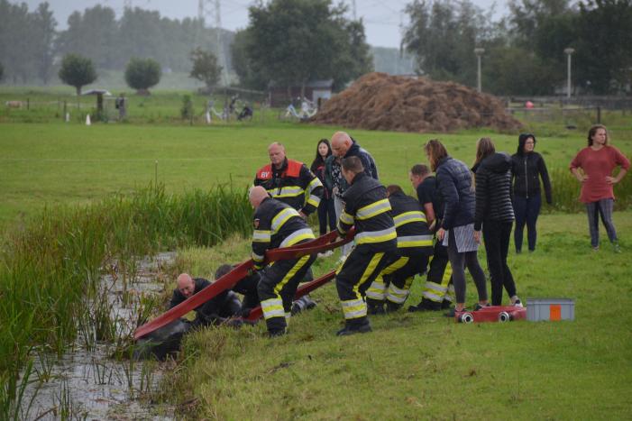 Paard vast in sloot, brandweer bevrijdt het dier