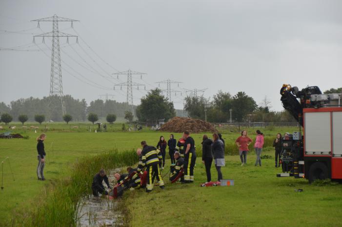 Paard vast in sloot, brandweer bevrijdt het dier
