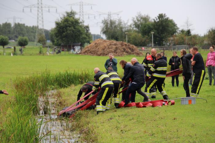 Paard vast in sloot, brandweer bevrijdt het dier