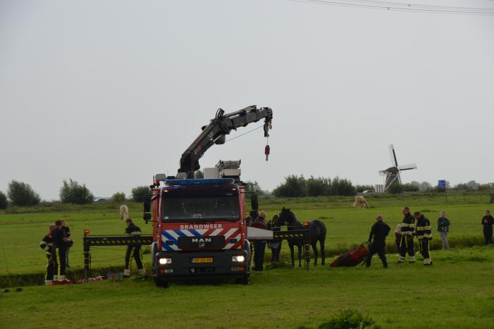 Paard vast in sloot, brandweer bevrijdt het dier