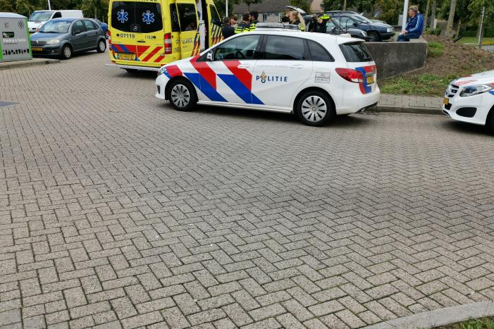 Kinderen krijgen traumabeer na botsing met auto