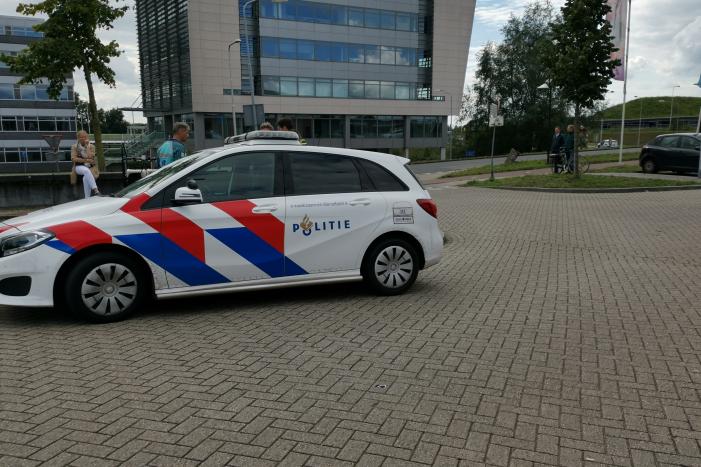 Kinderen krijgen traumabeer na botsing met auto