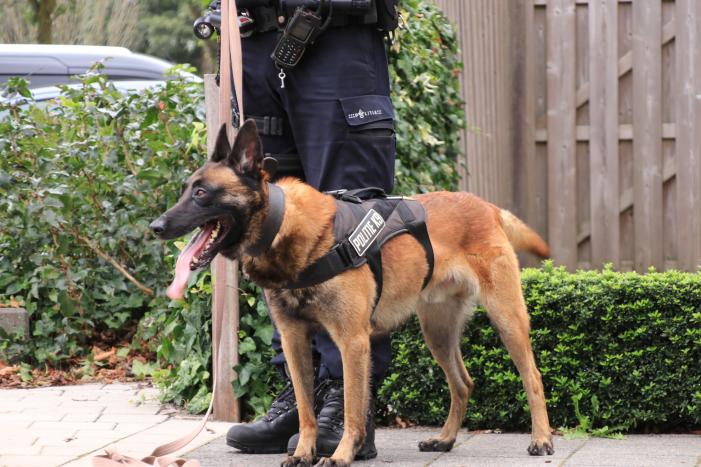 Politie-achtervolging eindigt in aanhoudingen