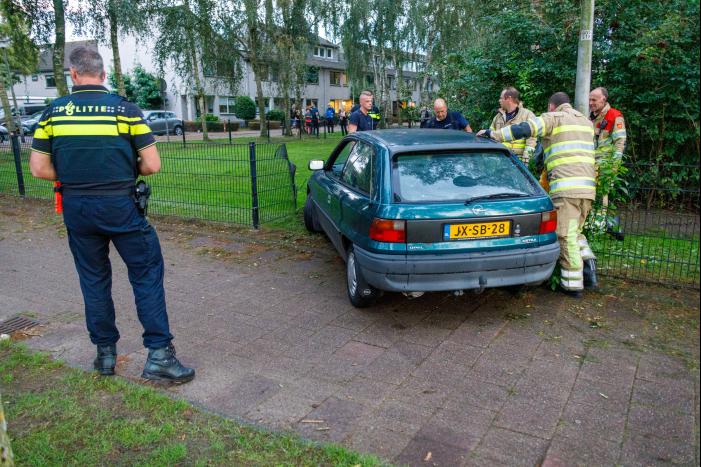 Auto ramt hekwerk hondenuitlaatplek