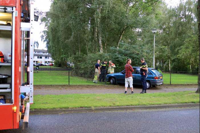 Auto ramt hekwerk hondenuitlaatplek