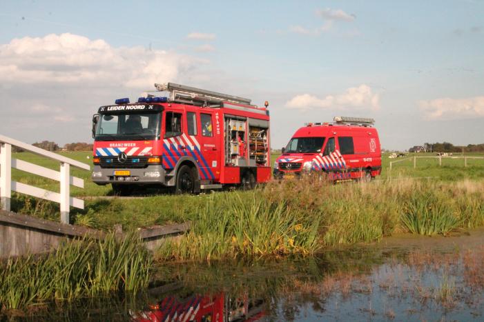Stier belandt in sloot en wordt gered