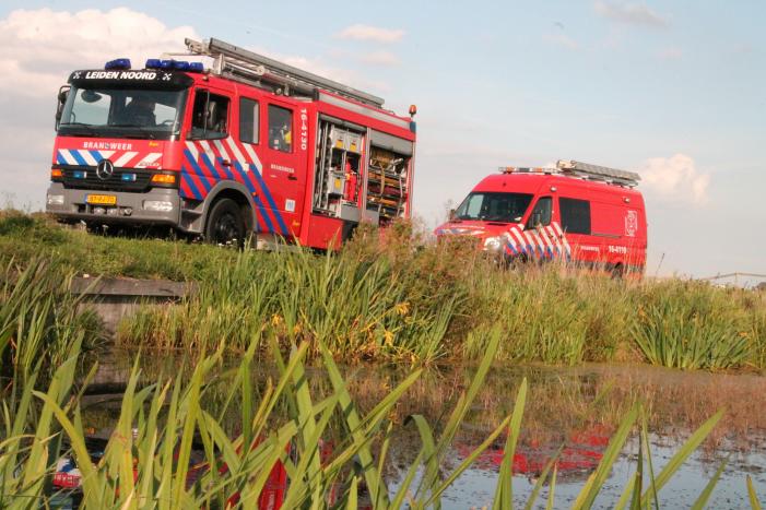 Stier belandt in sloot en wordt gered