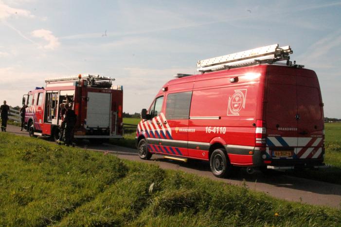 Stier belandt in sloot en wordt gered
