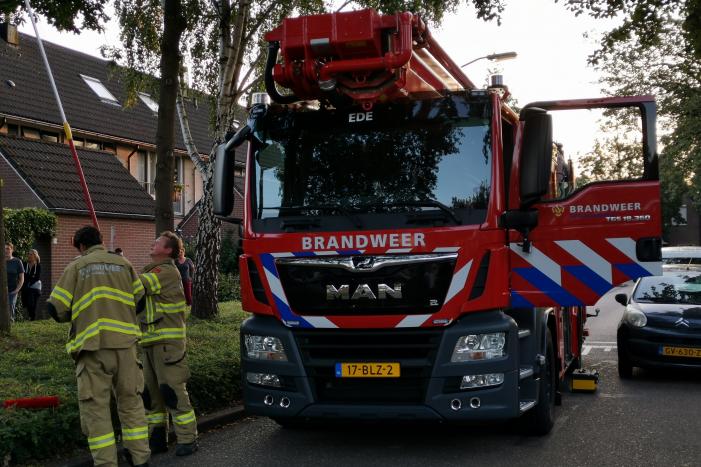 Brandweer doet nieuwe poging kat uit boom te halen
