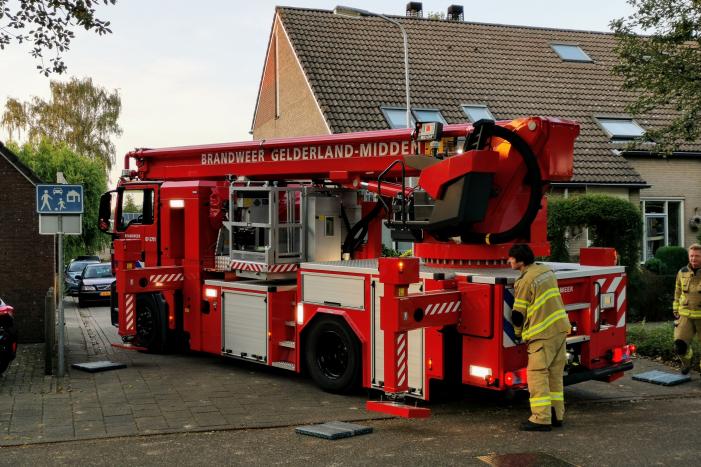 Brandweer doet nieuwe poging kat uit boom te halen