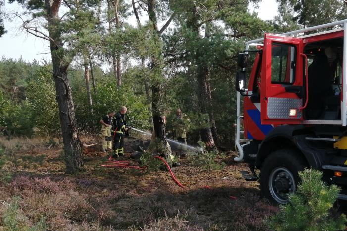 Brand in natuurgebied snel geblust