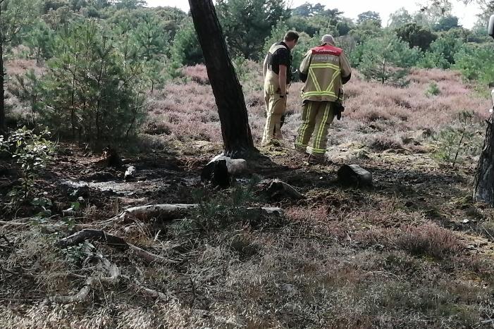 Brand in natuurgebied snel geblust
