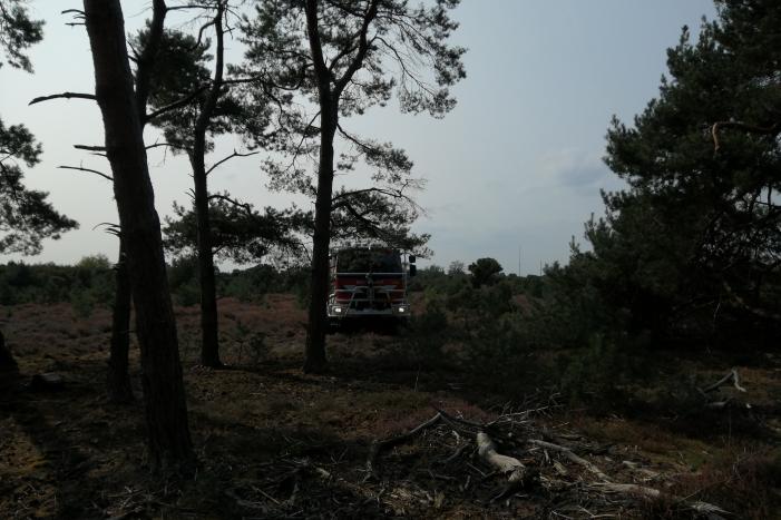 Brand in natuurgebied snel geblust