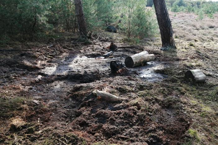 Brand in natuurgebied snel geblust