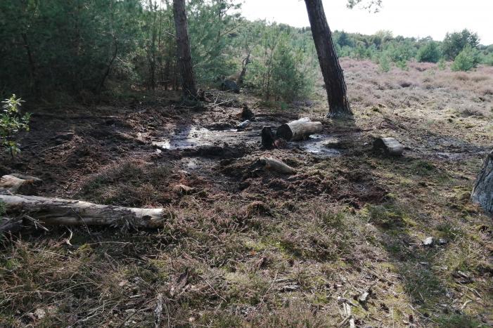 Brand in natuurgebied snel geblust