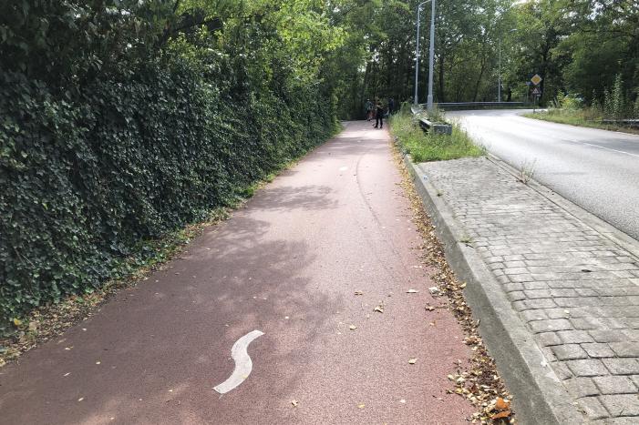 Automobilist knalt tegen vangrail en belandt tegen boom