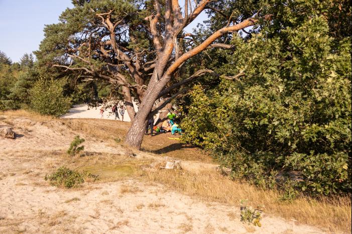 Meisje valt uit boom en raakt zwaargewond
