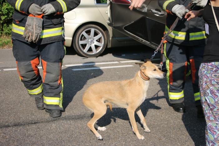 Auto slaat over de kop na botsing