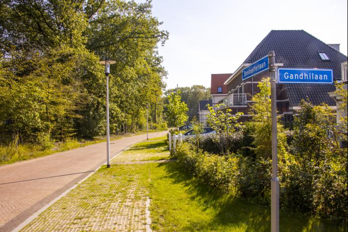 Nieuwe bewoners villawijk redden 17 bomen van kap