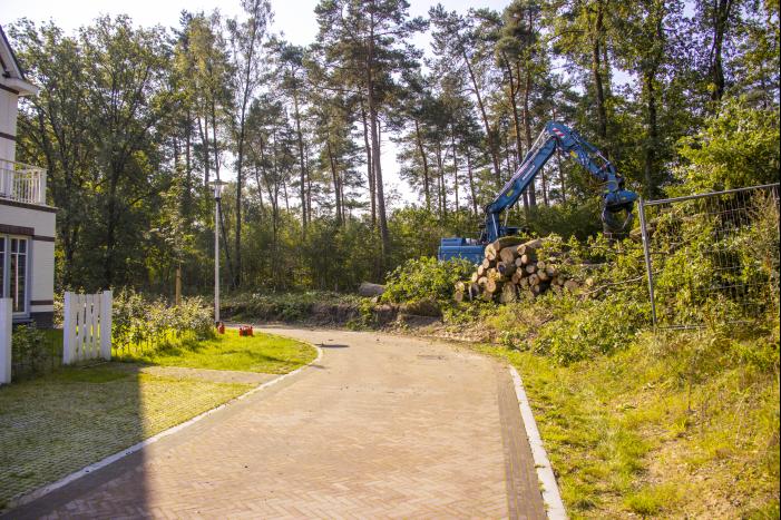 Nieuwe bewoners villawijk redden 17 bomen van kap