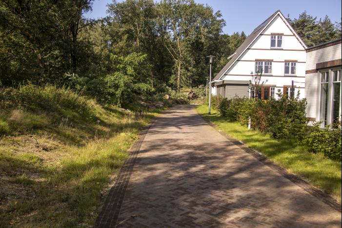 Nieuwe bewoners villawijk redden 17 bomen van kap