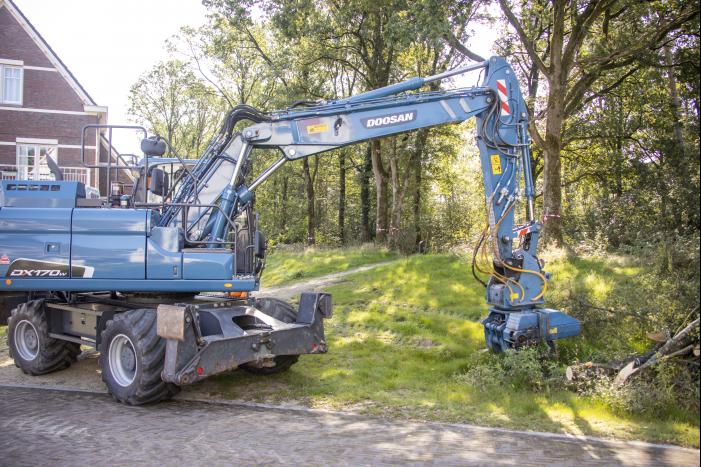 Nieuwe bewoners villawijk redden 17 bomen van kap