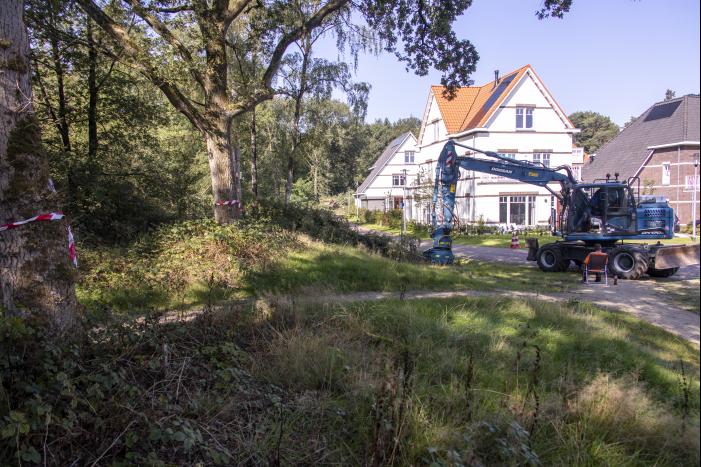 Nieuwe bewoners villawijk redden 17 bomen van kap
