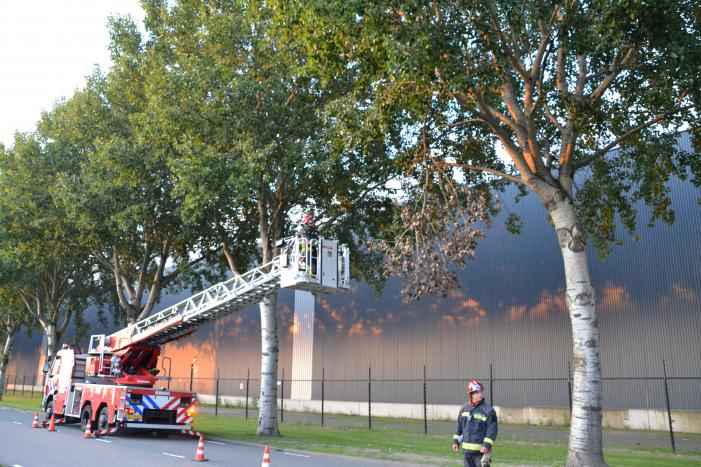 Gevaarlijk hangende tak verwijderd