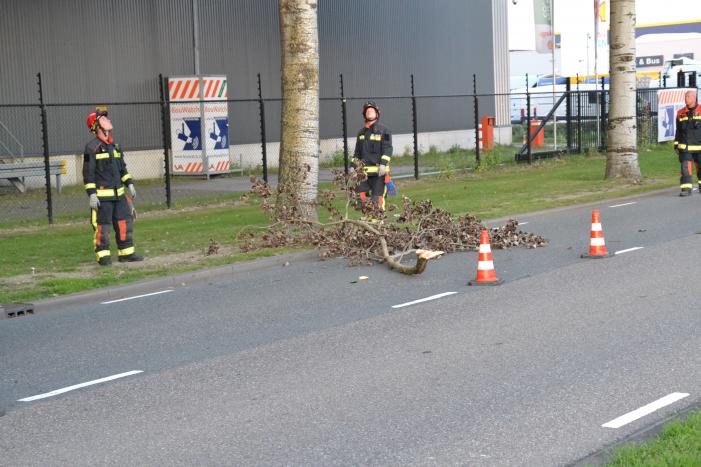 Gevaarlijk hangende tak verwijderd