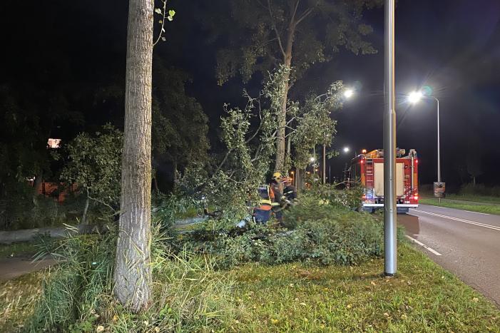 Boom valt over fietspad