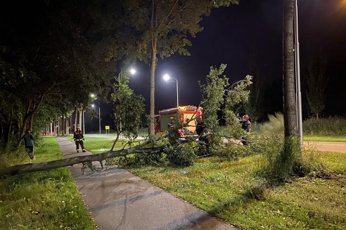 Boom valt over fietspad