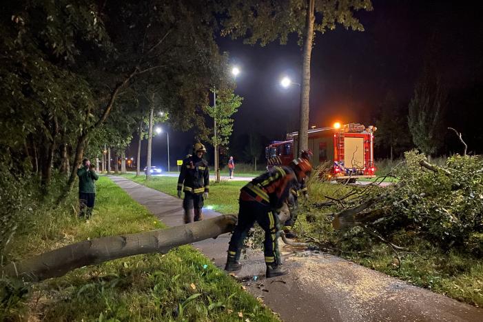 Boom valt over fietspad