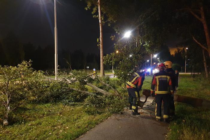 Boom valt over fietspad